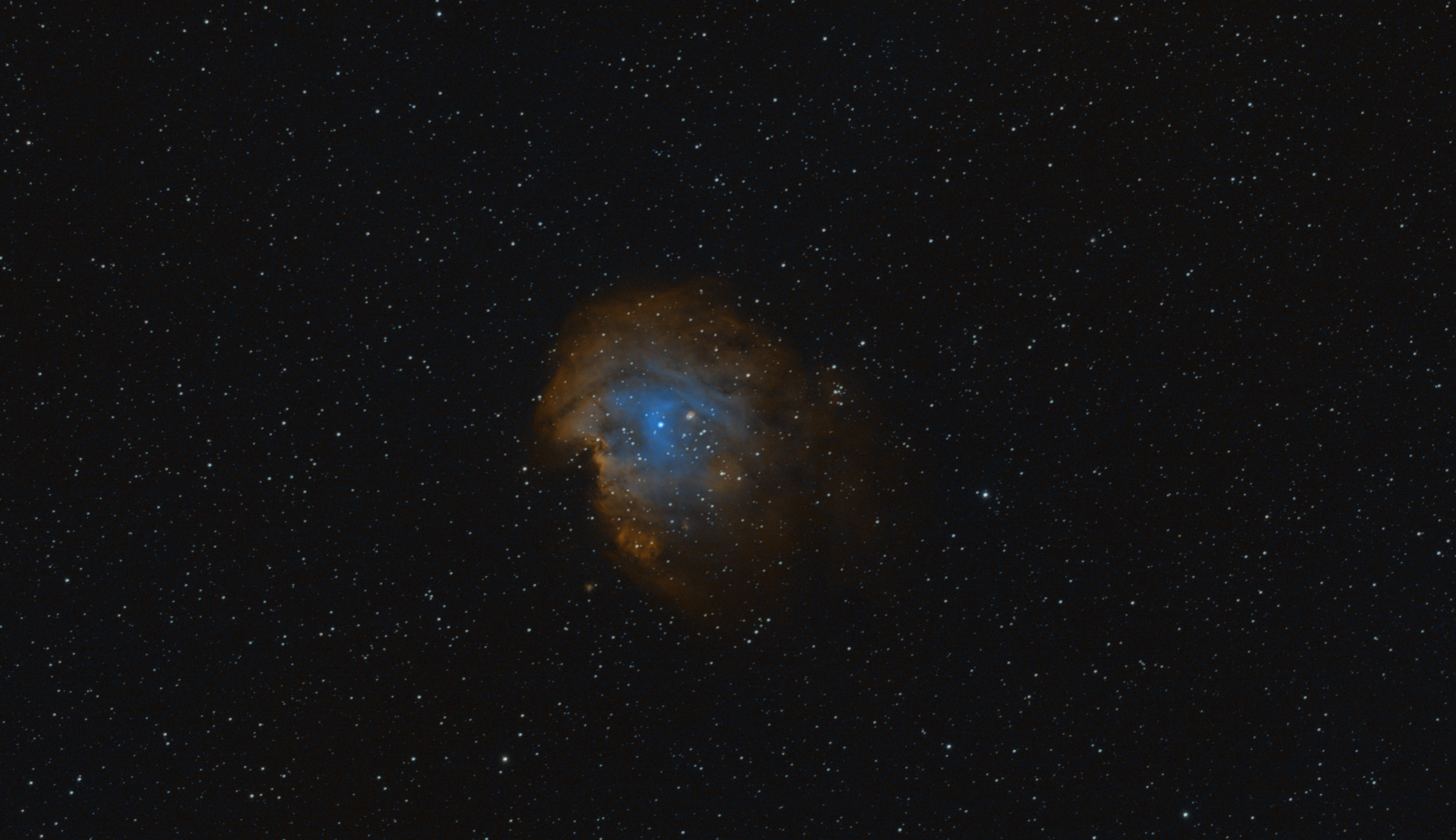 Monkey Head Nebula